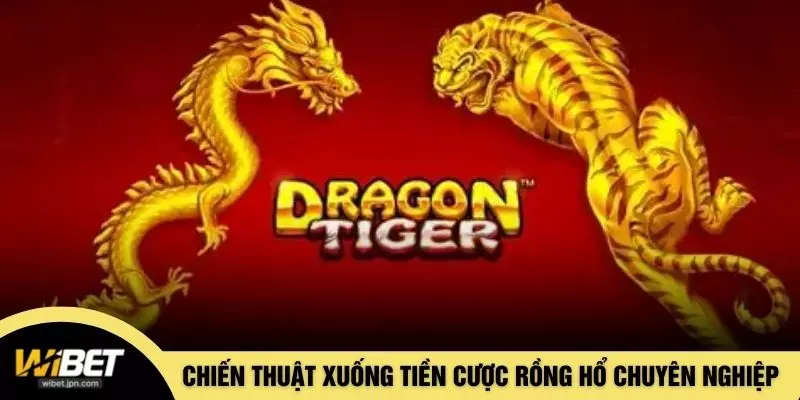 Chiến thuật xuống tiền cược rồng hổ chuyên nghiệp