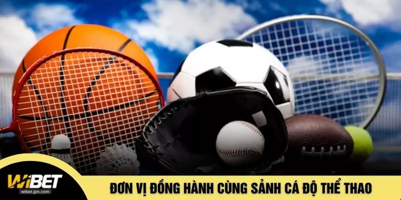 Đơn vị đồng hành cùng sảnh cá độ thể thao