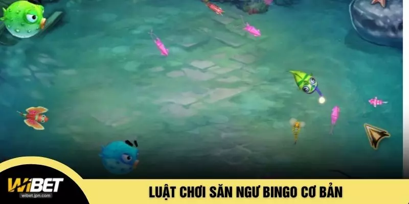 Luật chơi săn ngư Bingo cơ bản