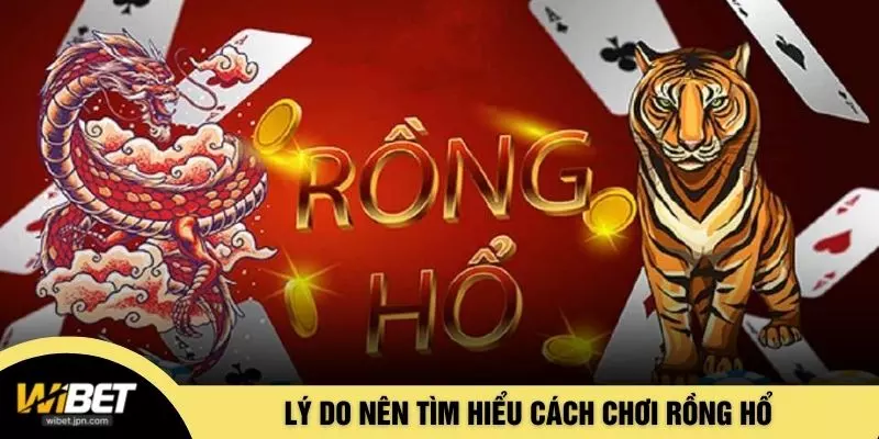 Lý do nên tìm hiểu cách chơi rồng hổ