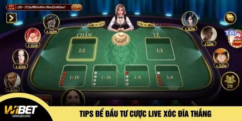 Tips để đầu tư cược live xóc đĩa thắng