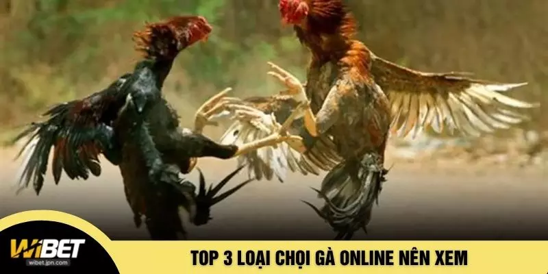 Top 3 loại chọi gà online nên xem